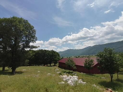 Farma & Apartmani Opg Sasa Delic 科雷尼察 外观 照片